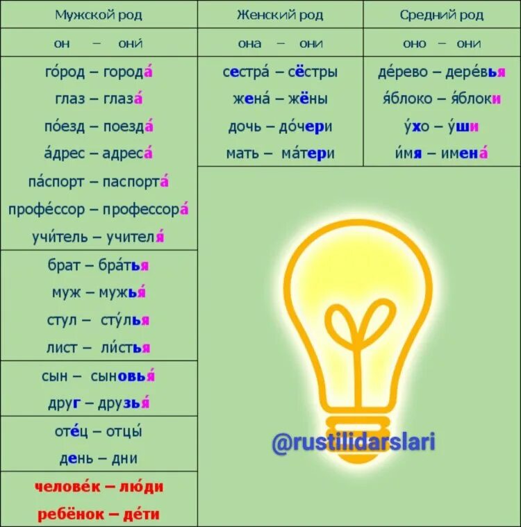 Кеды множественное число родительный падеж. Ч. Кроссовки в ед числе. Обувь форма множественного числа. Какой род у слова кроссовки.