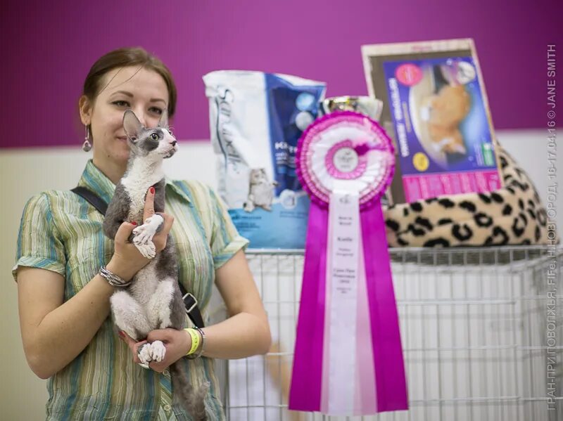 планета кошек нижний новгород. Wellkiss корм для кошек. древесный наполнитель для кошачьего туалета premium 5л. магазин для кошек нижний новгород. магазин для кошек нижний новгород.