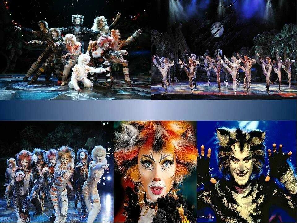 Кошки эндрю ллойд уэббер. Мюзикл кошки эндрю ллойд уэббер. Мюзикл э л уэббера. Ллойд уэббер кошки. Мюзикл э л уэббера.