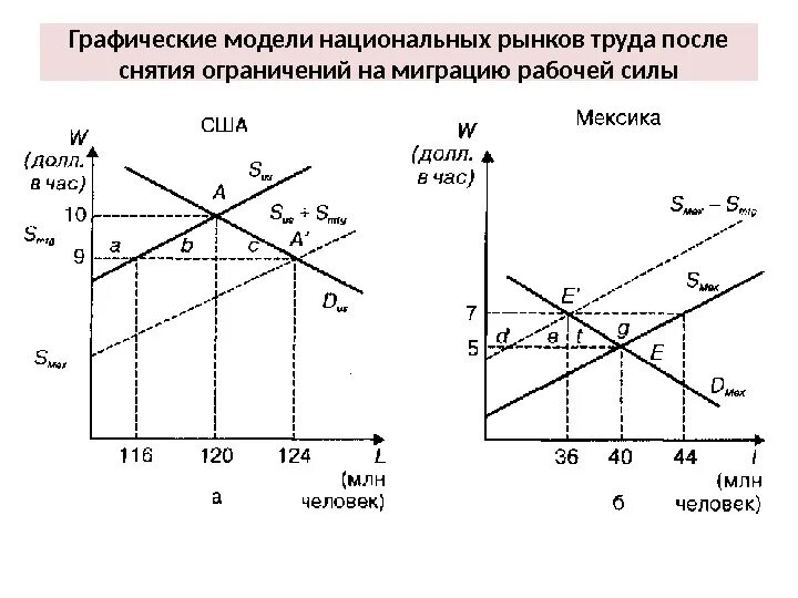 Графическая модель в экономике. Классическая модель рынка труда график. миграция на рынке труда график. графическая модель рынка труда. моделирование график.
