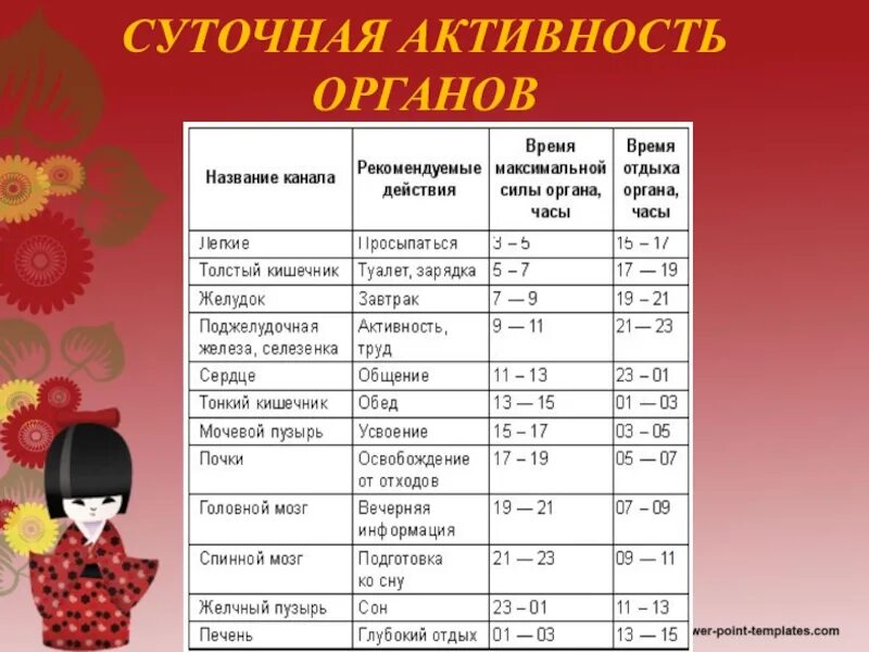Какой орган работает в час ночи. Суточная активность органов. активность органов человека по часам. часы активности внутренних органов человека. таблица активности органов человека по часам.