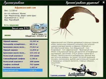 Какова примерная длина сома