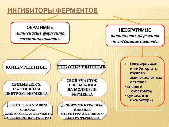 Классификация ингибиторов ферментов биохимия. Понятие об ингибиторах ферментов. Типы ингибирования ферментов примеры. Ингибиторы ферментов. Типы ингибирования.