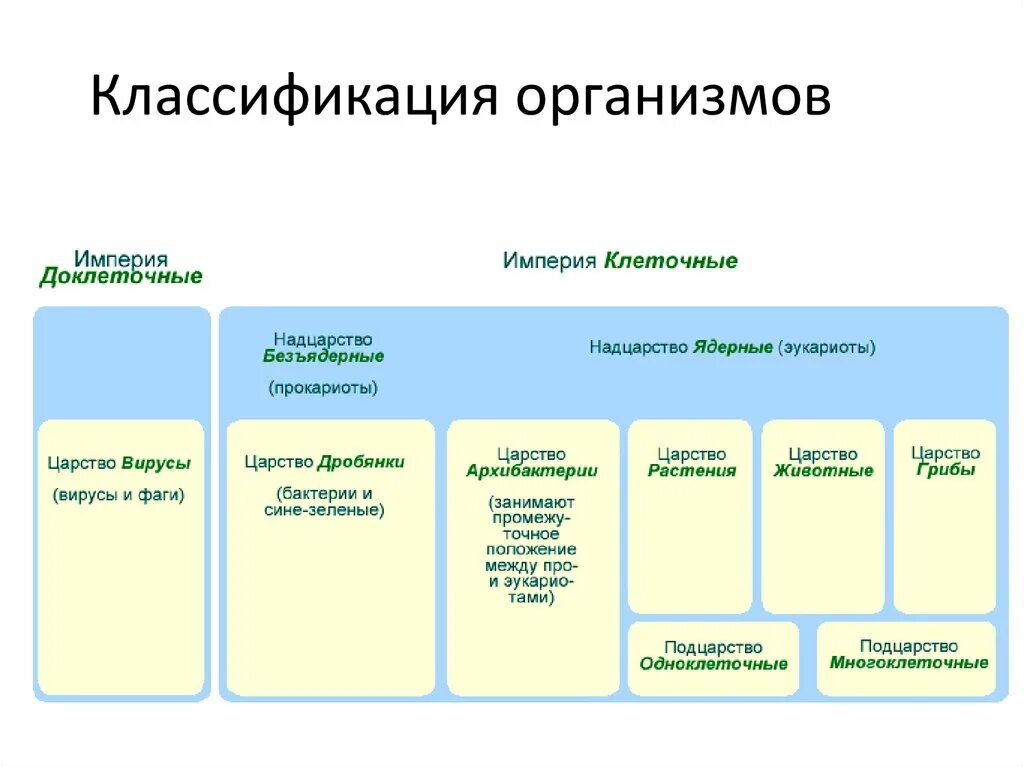 Классы живых организмов схема. Систематика классификация живых организмов. Современная классификация живых организмов таблица. Схема таблица классификация живых организмов.