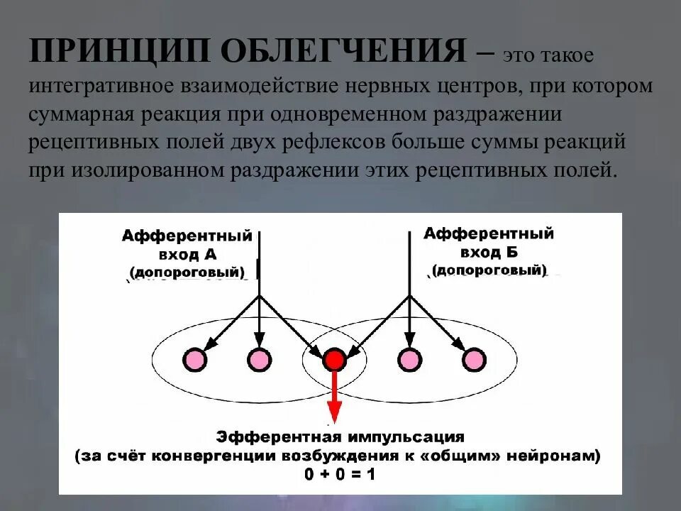 Координирующие принципы функционирования цнс. Облегчение и окклюзия нервных центров. Взаимодействие нервных центров. Механизмы взаимодействия нервных центров физиология. Окклюзия схема физиология.