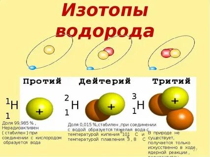 Изотопы 12с и 14с различаются