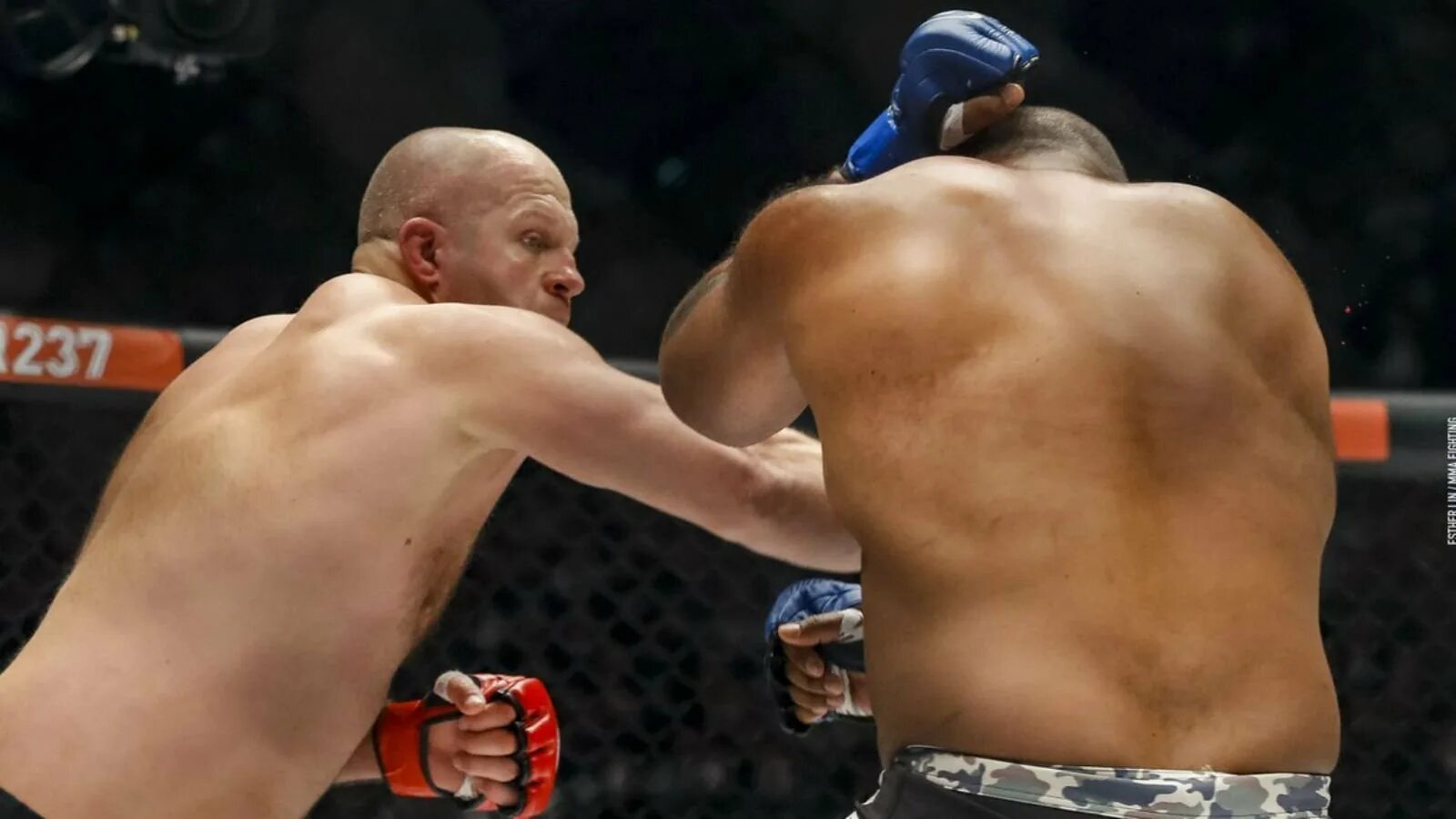 Единоборства емельяненко. Федор емельяненко тимоти джонсон бой. Емельяненко федор бобой. Единоборства емельяненко. Бой федора емельяненко 29 декабря 2019.