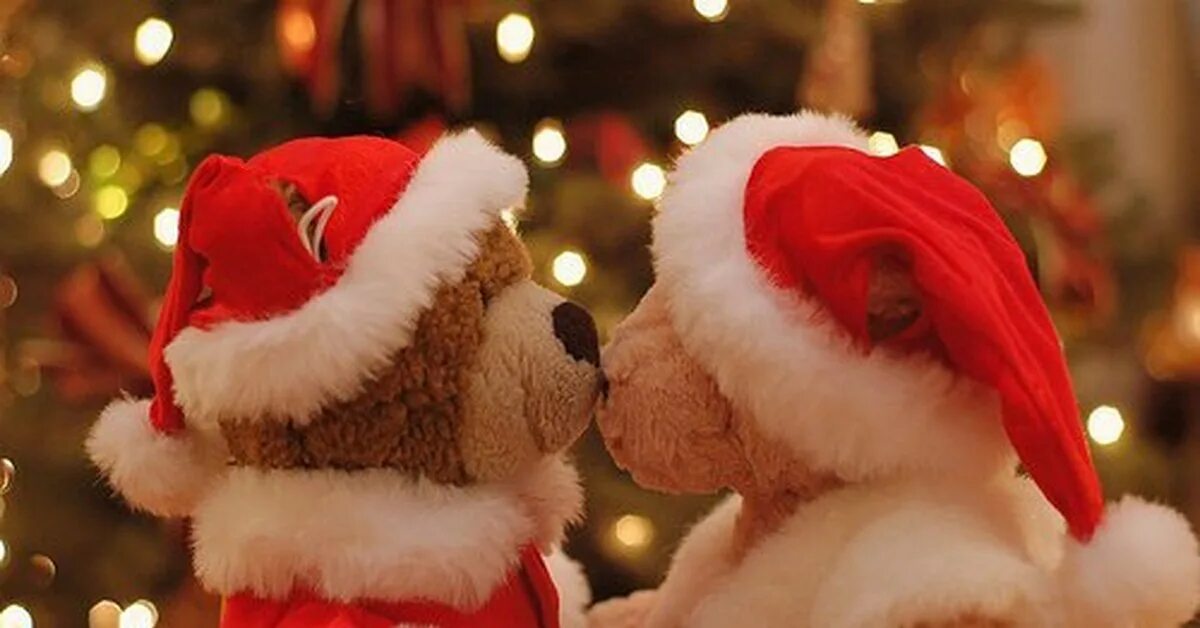 Новогодняя открытка с сердечками. Anna christmas. Christmas couple. Рождественский о любви. Люблю рождество.