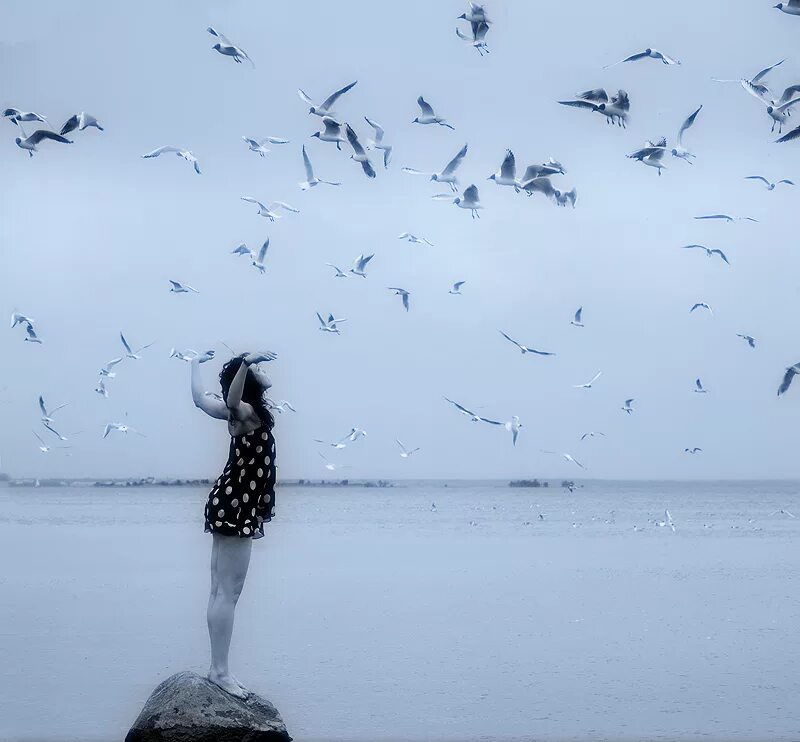 Потом спокойный. Море птицы девушка. Девушка море Чайки. Птицы из души. Девушка море птицы ветер.