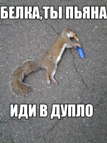 Почему я не пошел домой