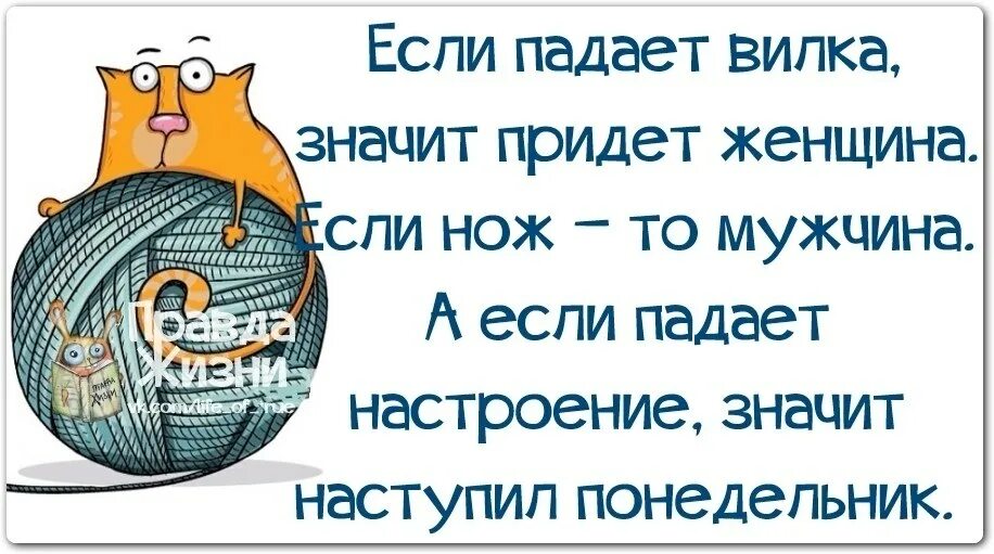 Настроение в понедельник. Статус про понедельник. Смешные фразы про воскресенье. Понедельник правда жизни. Понедельник цитаты картинки.