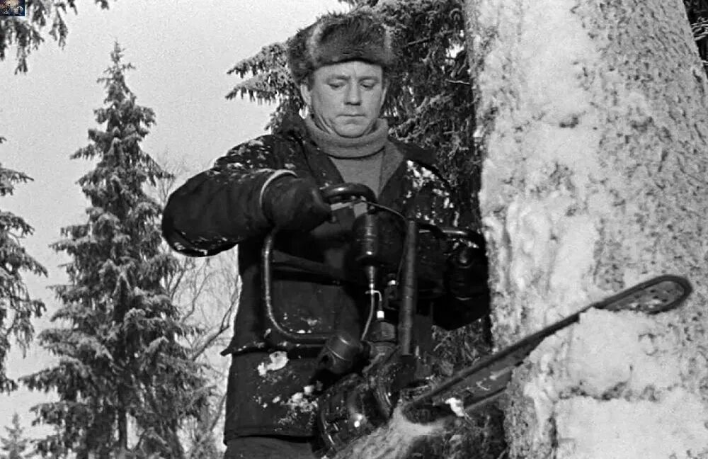 пилите шура пилите они золотые откуда это. стих бревно. пилите шура пилите они золотые. пилите шура пилите они золотые откуда это. песня пилили пилили.