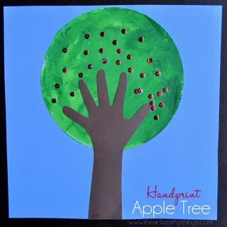 This is apple tree