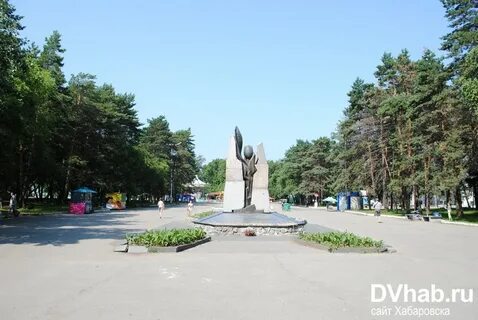 Черный тюльпан хабаровск