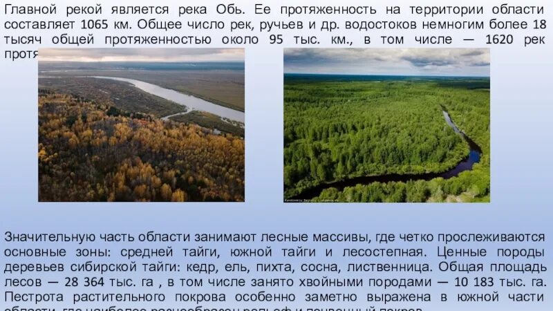 Река Обь ее протяженность. Общее число рек. Протяженность Томска. Река стала основная мысль. Протяженность тайги по направлениям в градусах