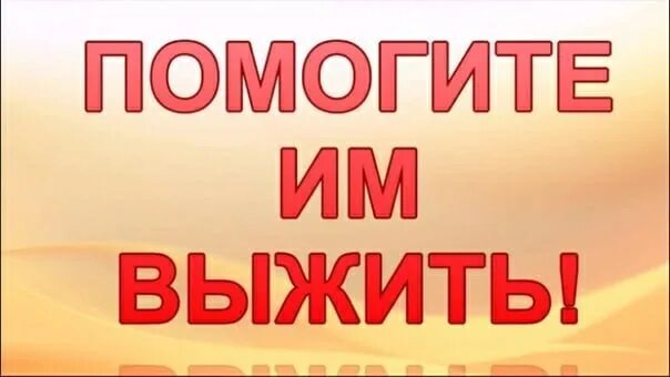 Слово помогает выжить