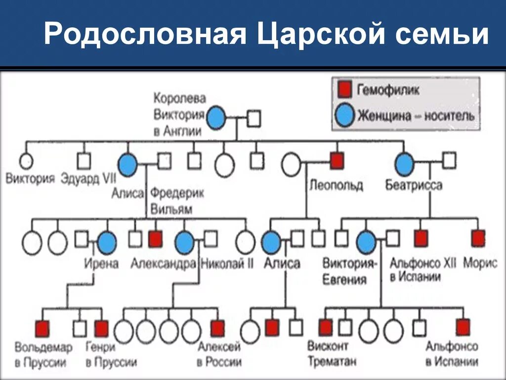 Родословная Романовых гемофилия. Древо по гемофилии царской России. Родословная царской семьи. Схема родословной. Родословная гемофилии