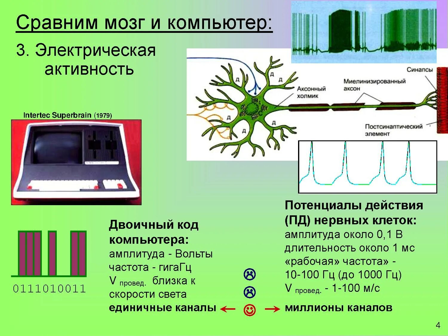 Электрическая активность клеток. Сравнение компьютера и мозга. Сравнение мозга человека и компьютера. Сходство мозга человека и компьютера. Электрическая активность нейрона.
