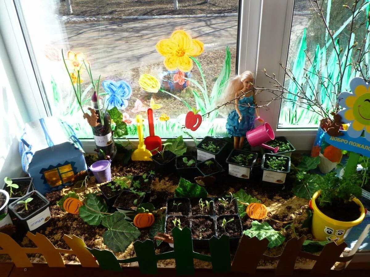 Огород на окне цветы. Огород на окне в детском саду. Огород на подоконнике в детском саду. Огород на окошке в детском саду. Мини огород на окне в детском саду.