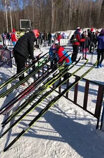 Пионерская правда лыжные гонки