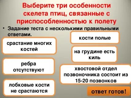 Черты приспособленности скелета птицы связанные с полетом
