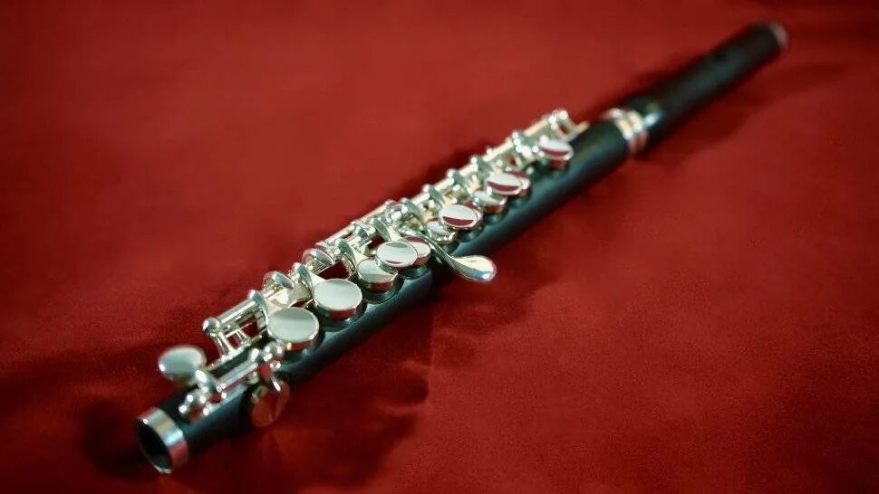 Флейта хорошая. Флейта-Пикколо флейта. Флейта-Пикколо 19 век. Флейта Пикколо музыкальный инструмент. Кларнет и флейта Пикколо.