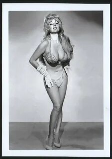 Burlesque stripper marilyn marquis big breasts pose new reprint 5 X 7 #1.