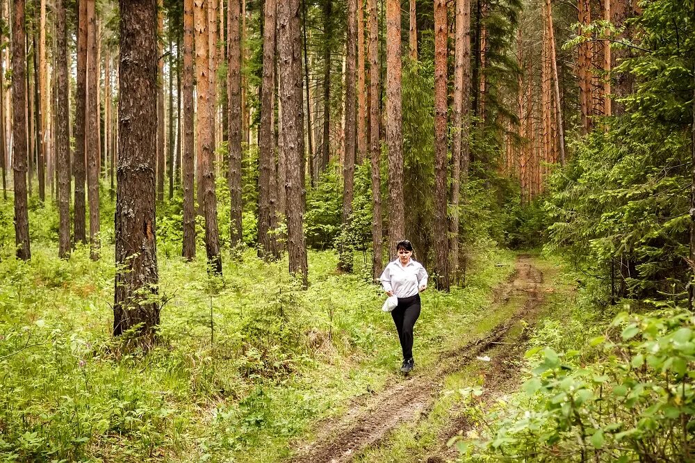 Пребывая в лесу