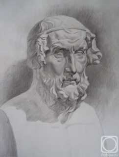 Голова гомера