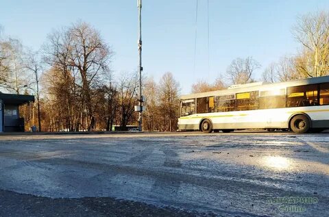 Автобус лыткарино