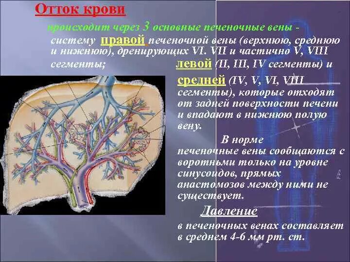 От мозга кровь оттекает