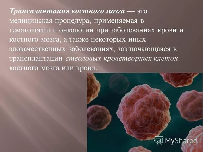 Пересадка костного мозга что это. Трансплантация костного мозга. Трансплантация костного мозга презентация. Аутотрансплантация костного мозга. После трансплантации костного мозга.