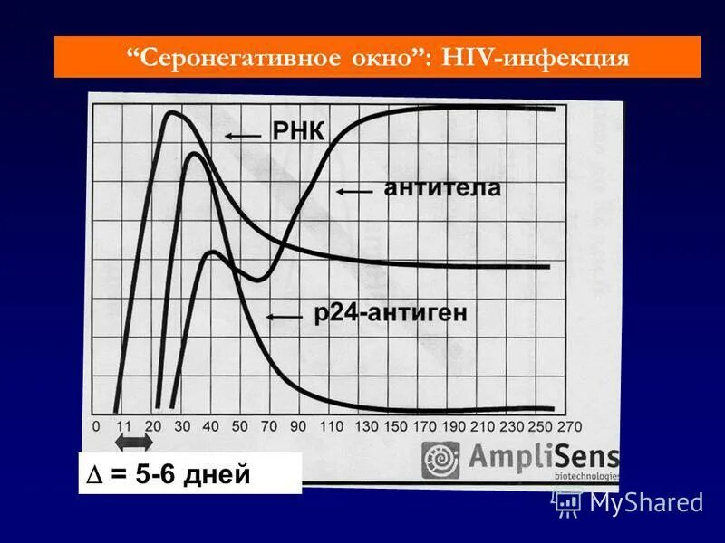 Серонегативное окно при вич