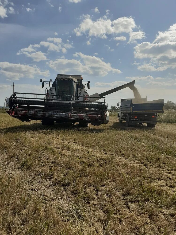 Колхоз 2022. Уборочная страда. Улицы деревушек китая. Колхоз 2022. Старая китайская деревня.