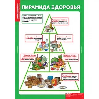 Пирамида здоровья