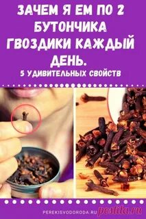 Гвоздика каждый день