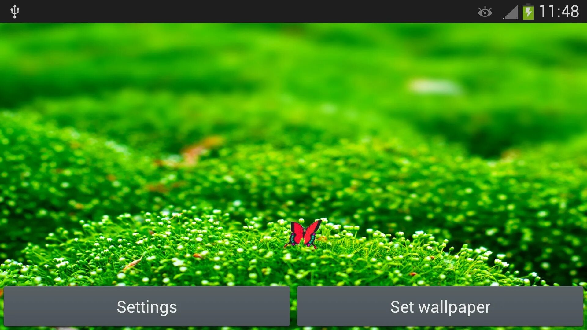 Живые обои зеленые. Обои на андроид зеленые живые. Обои на андроид трава. Live Wallpaper трава Android. Живые обои на андроид яркая трава.