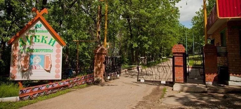 Дубки тольятти турбаза. Дубки самара турбаза. Дубки у валентины турбаза. Дубки у валентины турбаза тольятти. Дубки у валентины турбаза тольятти ягодное.