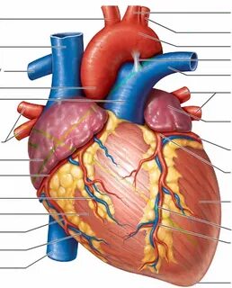 Вафли үйінің коллекциясы