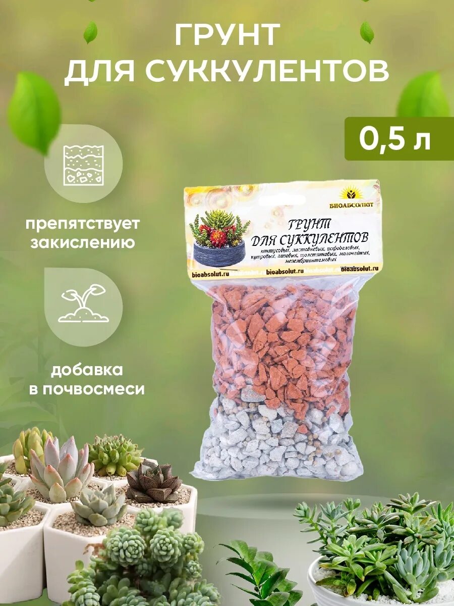 Подходящий грунт для суккулентов. Грунт. грунт для суккулентов. минеральный грунт для суккулентов. 6рунт дя суккуленты.