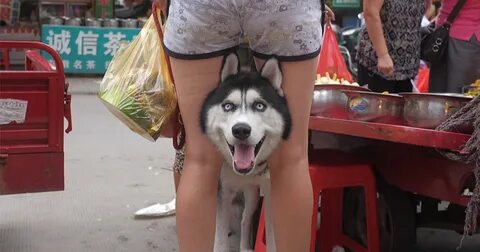 Неожиданный форум