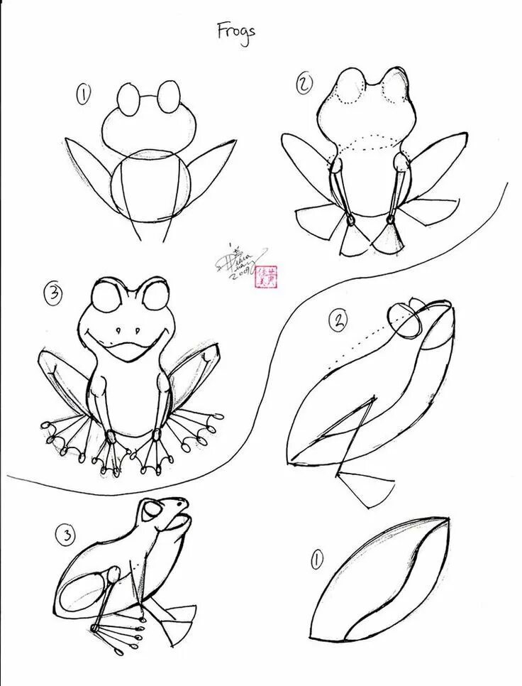 Царевны лягушки поэтапно. Лягушка поэтапное рисование для детей. Лягушка карандашом для детей. Этапы рисования лягушки. Нарисовать лягушку поэтапно.