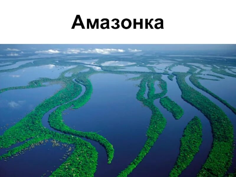 Укажите самую полноводную реку россии. Полноводная река. Самая полноводная река в мире. Самая длинная и полноводная река в России. Самая длинная и полноводная река в мире.