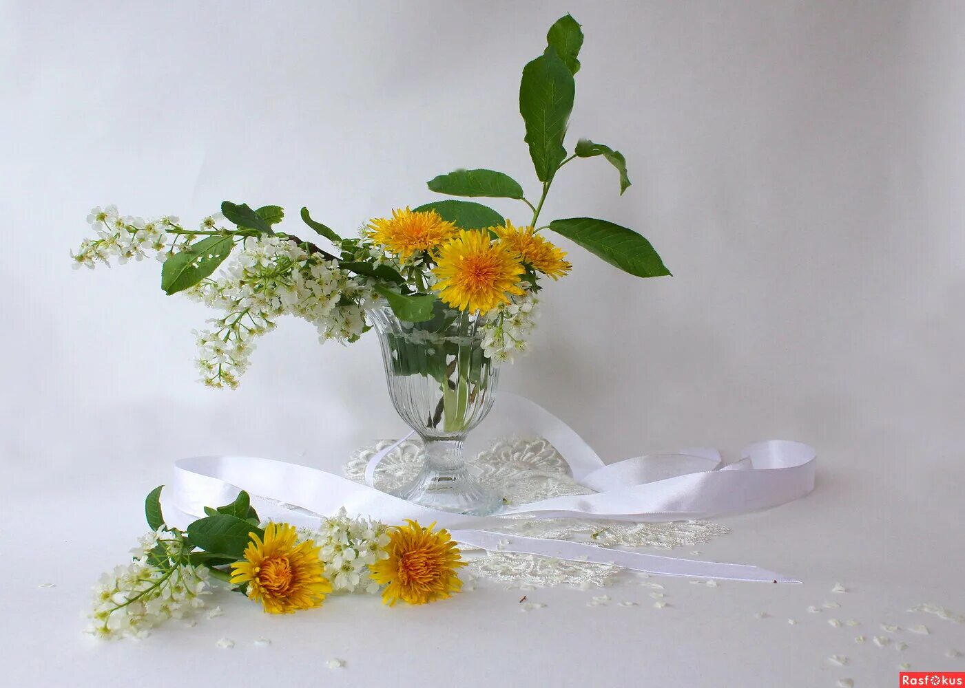 черемуха и одуванчики