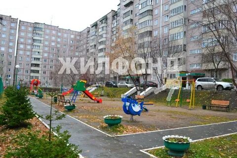 Белинский новосибирск