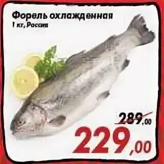 Форель по акции