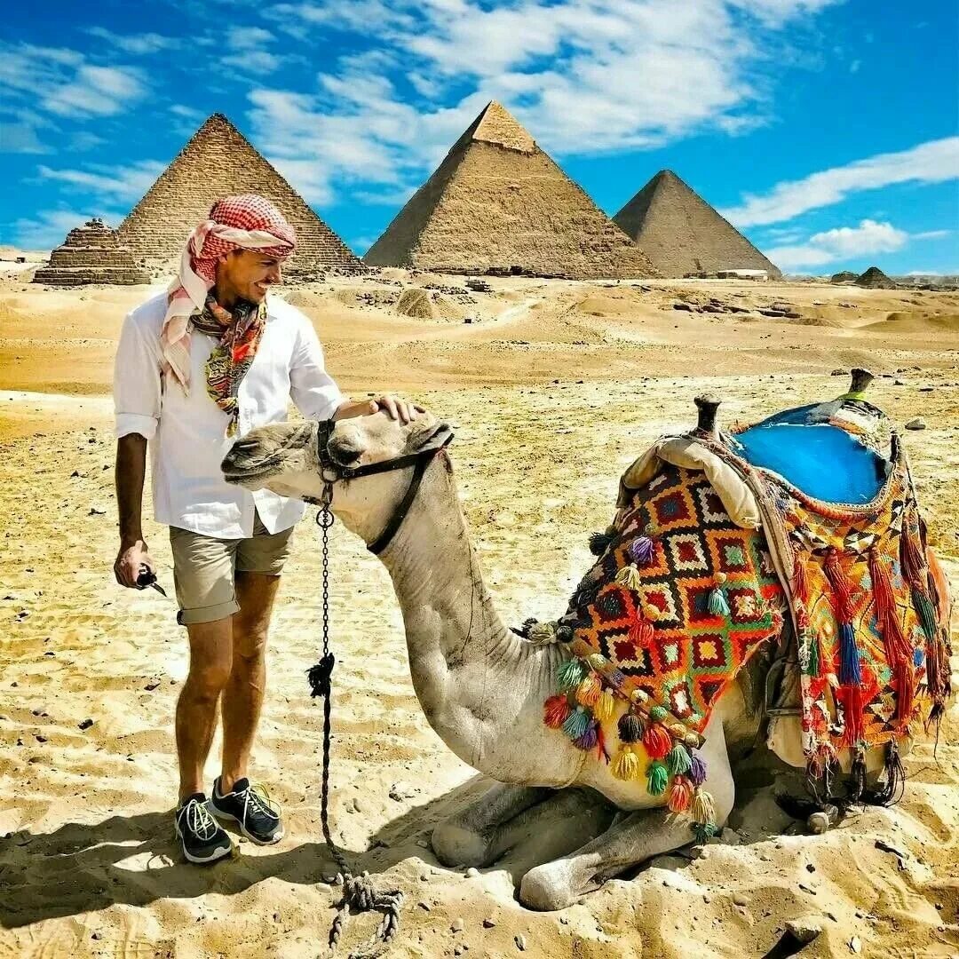Country tours. Шарм-Эль-Шейх пирамиды. Каир Шарм-Эль-Шейх. Египет Шарм Эль Шейх верблюд. Мирс Египет.