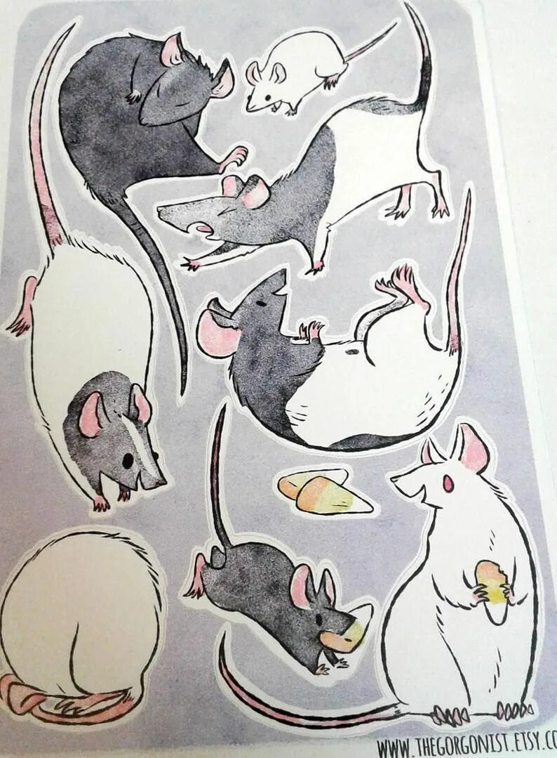 Мышь маркером. Крыса рисунок. Наклейки крысы. Идеи для рисования крысы. Мышь маркерами.