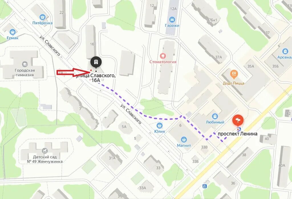 озон димитровград график