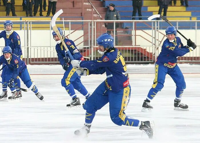 Расписание катка красногорск. Хк Зоркий Красногорск. Стадион Зоркий Красногорск хоккей с мячом. Каток Зоркий Красногорск. Красногорский Зоркий хоккей с мячом игроки.